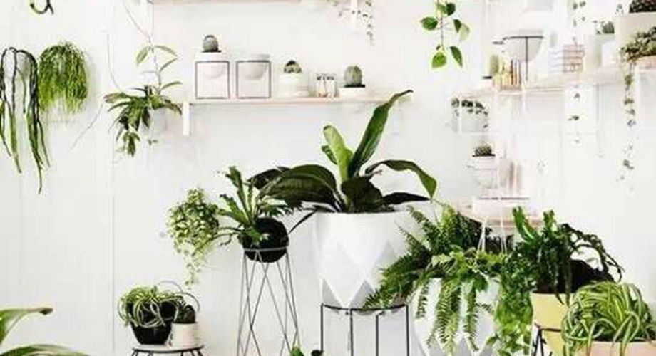 【峰光无限】咸阳装修公司 之海奥林匹克花园