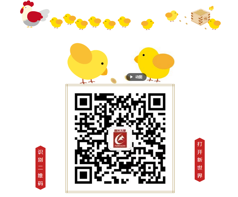 【峰光无限】贺新年，鸡年大吉！