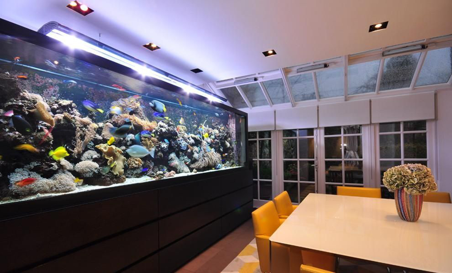 咸阳家装公司告诉您家居鱼缸如何摆放？有什么风水讲究？