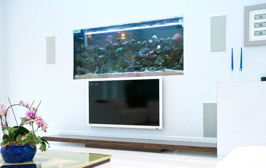 咸阳家装公司告诉您家居鱼缸如何摆放？有什么风水讲究？