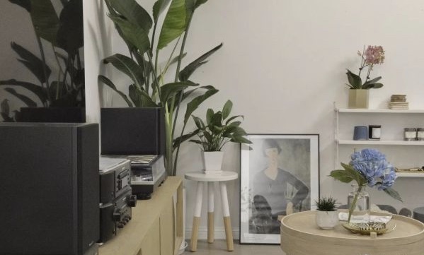 墙面的粉刷顺序是什么？