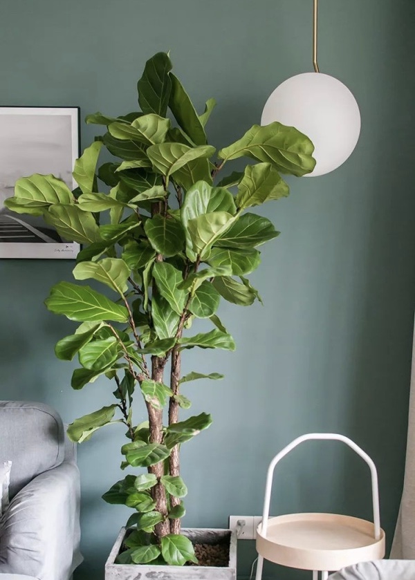 咸阳林凯城简约风两居室已完工