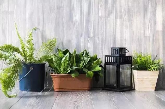 【家装知识】夏季装修竟然有这么多的好处！