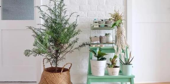 港式装修风格6个特点，你全都不知道？白看多年TVB