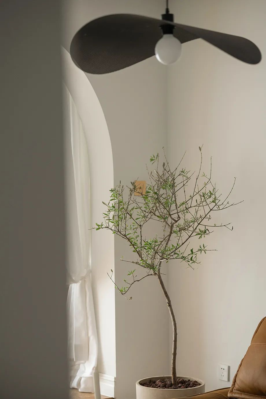 奶油色的治愈自然主义